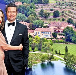 Angelina Jolie and Brad Pitt in court battle over French vineyard